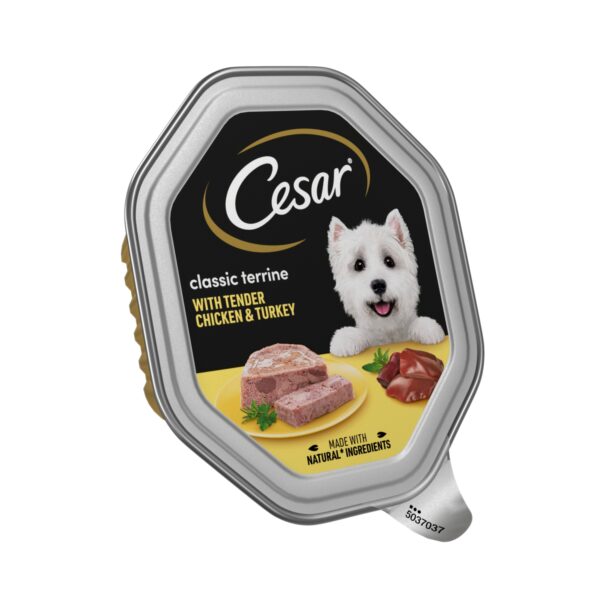 CESAR CHICKEN & TURKEY 150G