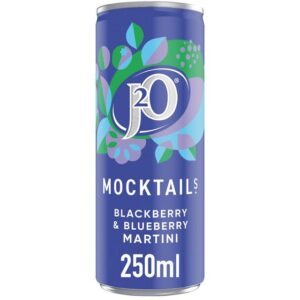 J2O MOCKTAIL BLACKBERRY & BLUEBERRY MARTINI 250ML